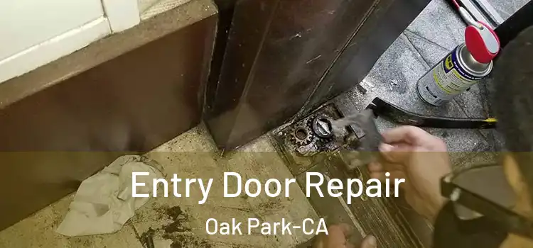  Entry Door Repair Oak Park-CA