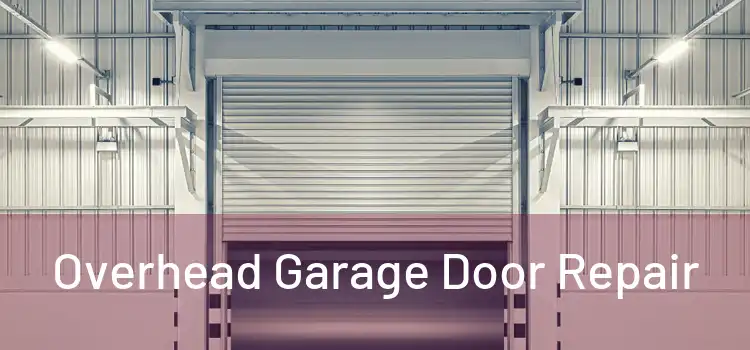  Overhead Garage Door Repair 