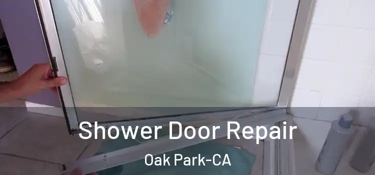 Shower Door Repair Oak Park-CA